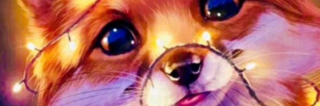 💘Котик pro🌺