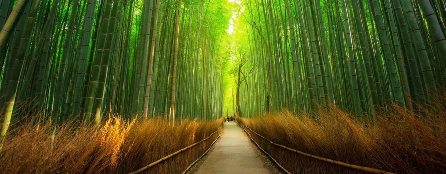 Игорь Дмитриев