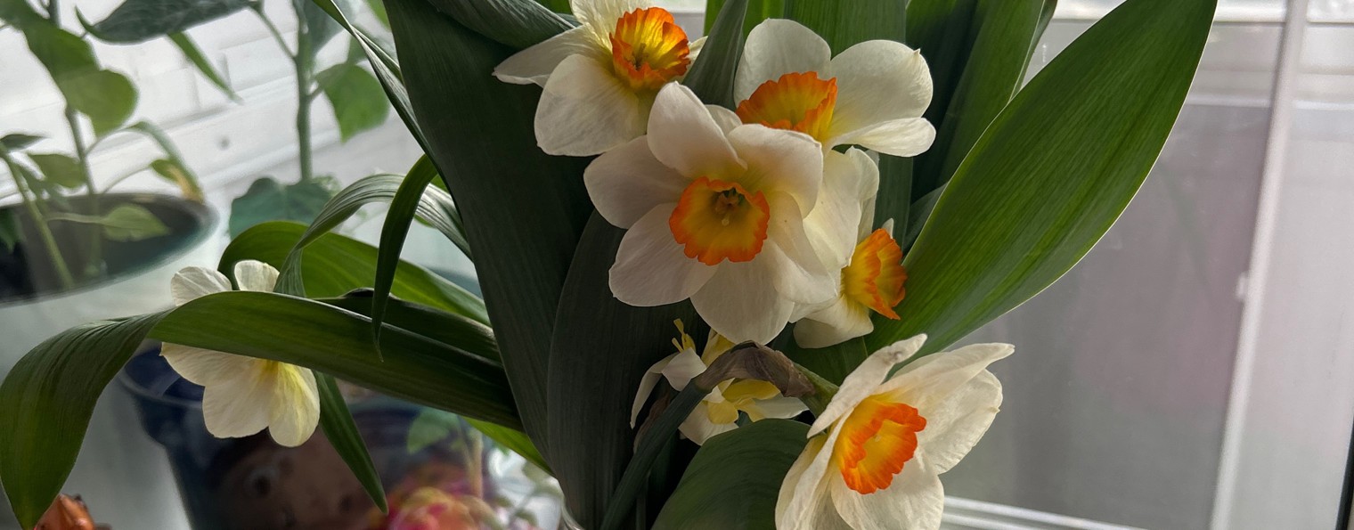 Виктория Запольская