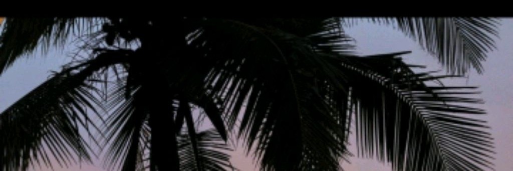 🌹❤️Drako и Макарик🇷🇺🤘