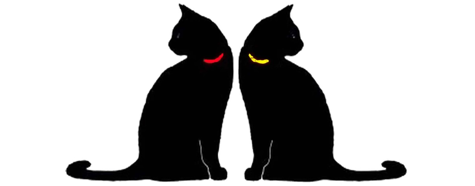 Черные коты