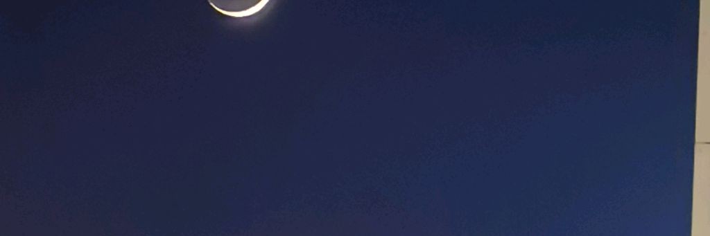 Капитан ДЖЕК