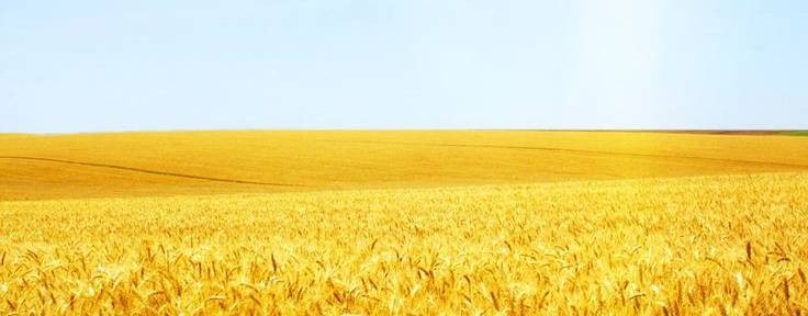 Иван Мирошниченко