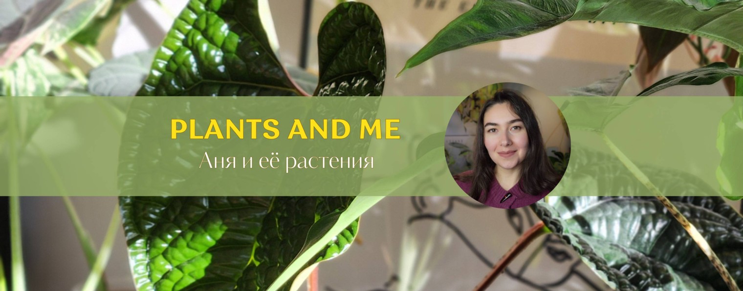Plants and me