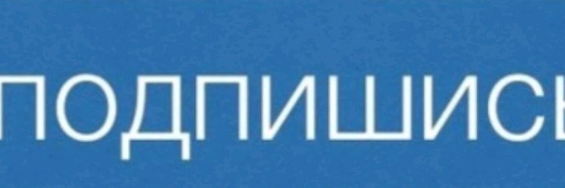 Данёк pro