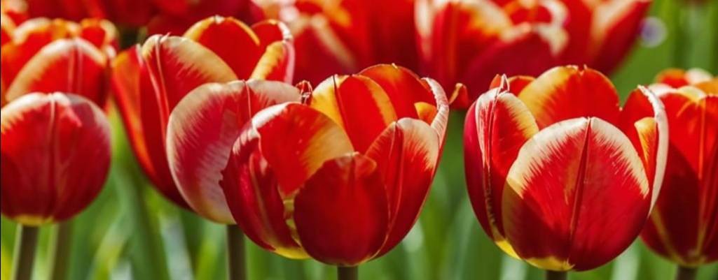 Нейро-Код ЖиЗни