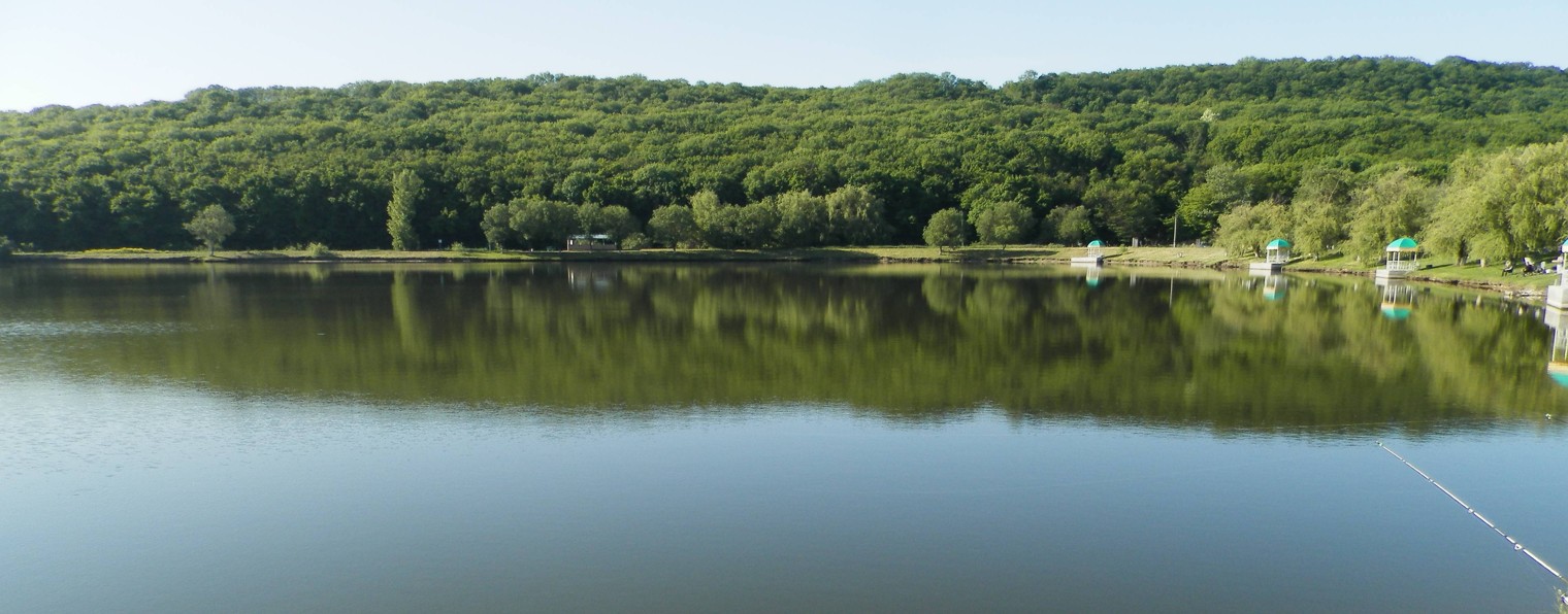 Вот это жизнь!