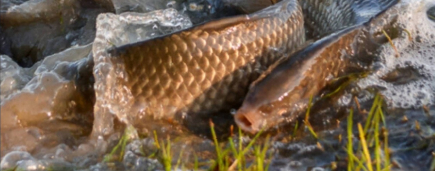 Рыбалка с Ларисой  channel65663360