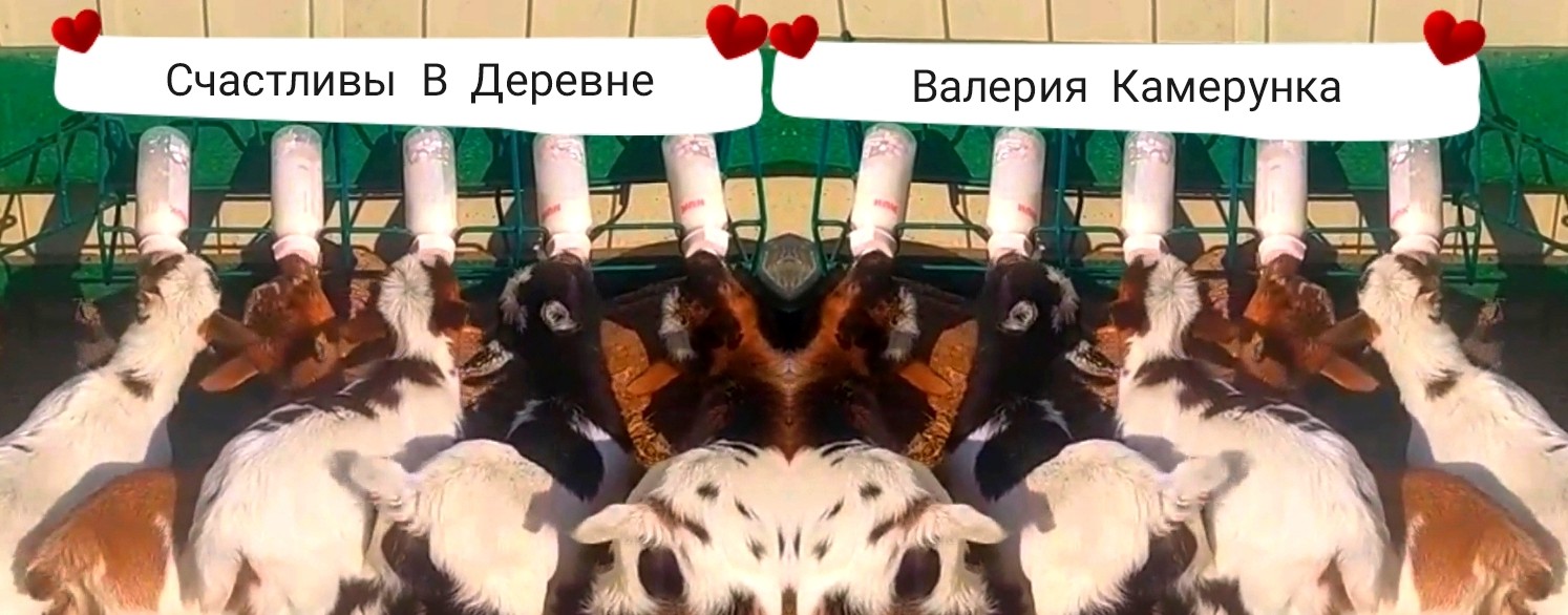 Счастливы В Деревне