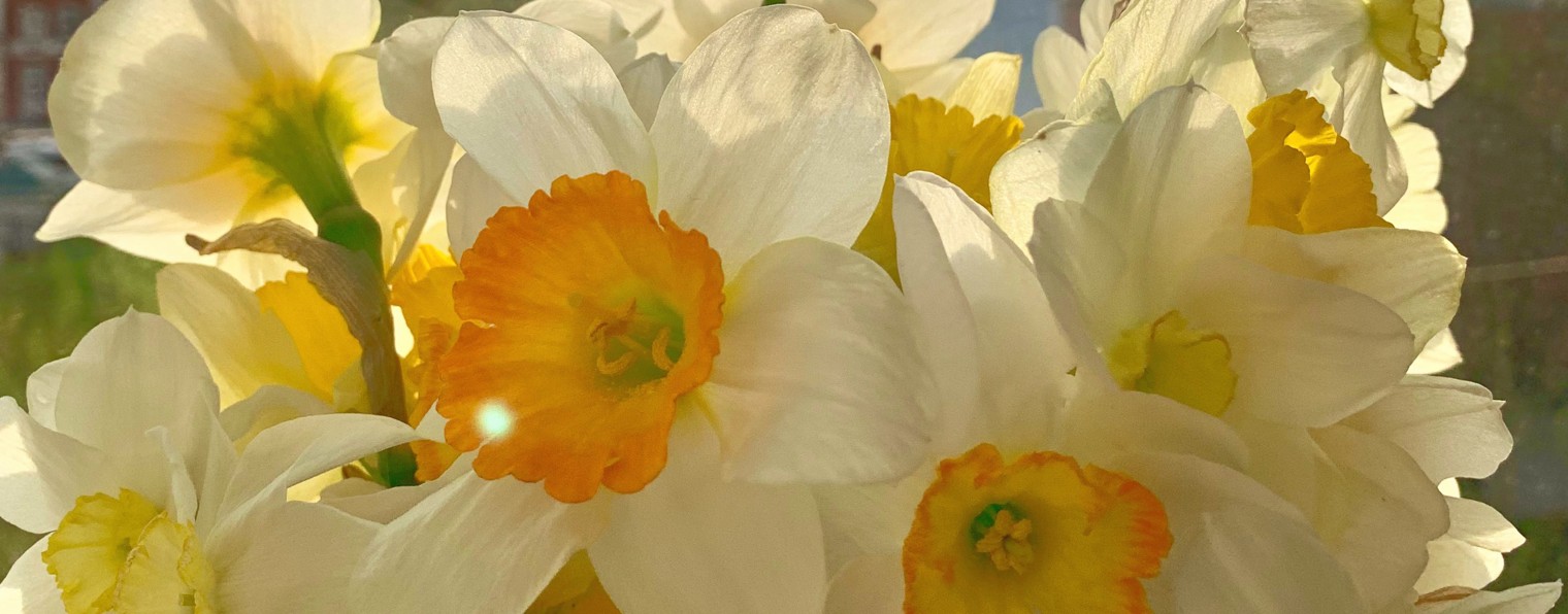 Шабалкина Светлана