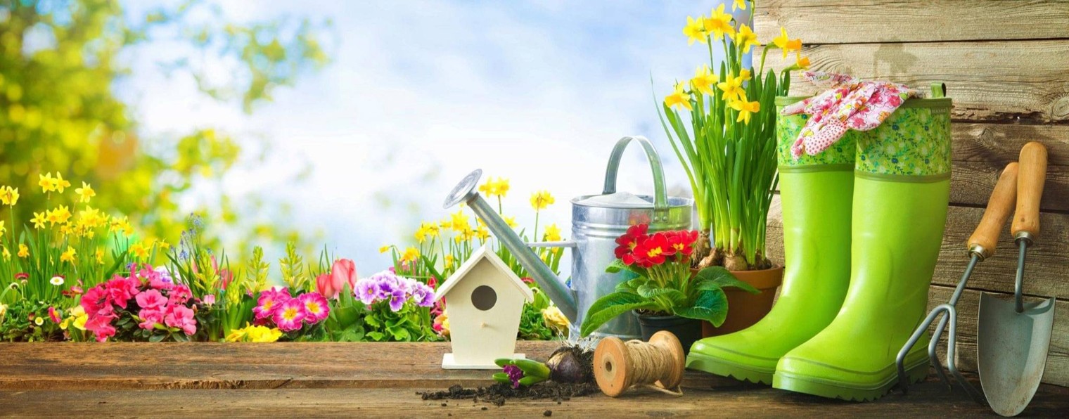 уДачные Советы