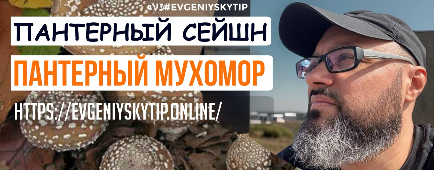 Пантерный мухомор