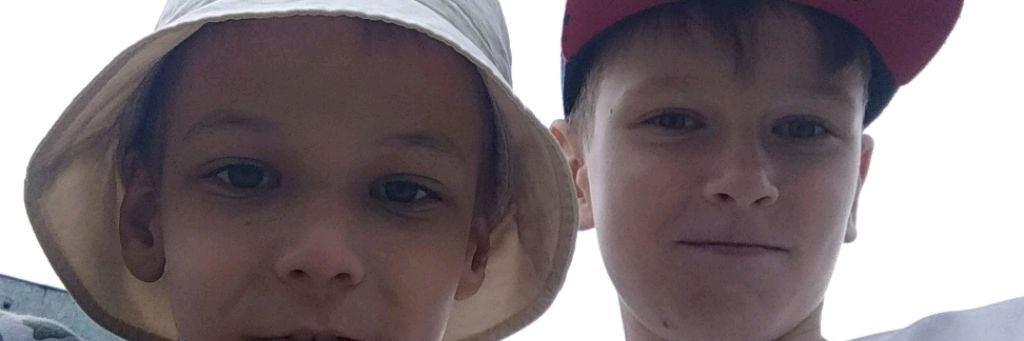 Лимон9665 (майнкрафт)