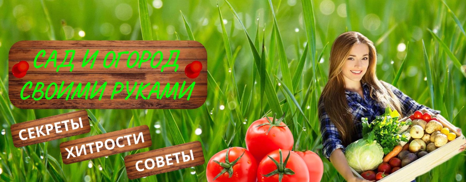 САД И ОГОРОД. СВОИМИ РУКАМИ