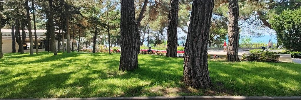 Всегда на переезде !