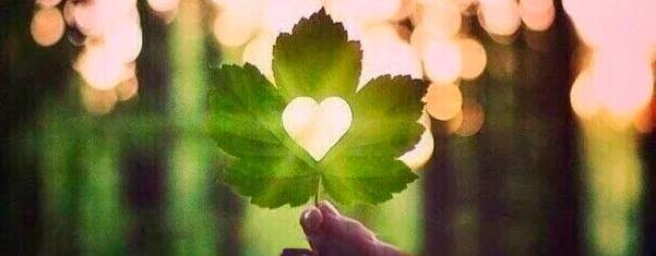 Ольга Видео для друзей