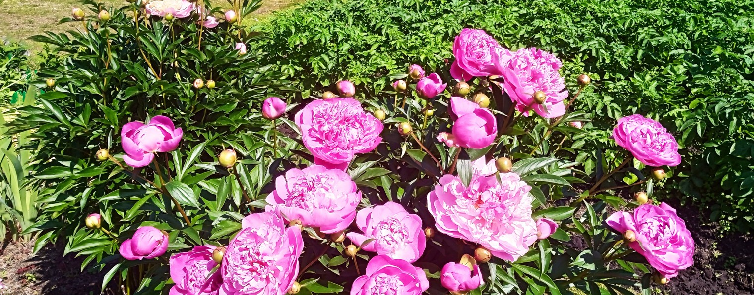 Настя. Обо всем.