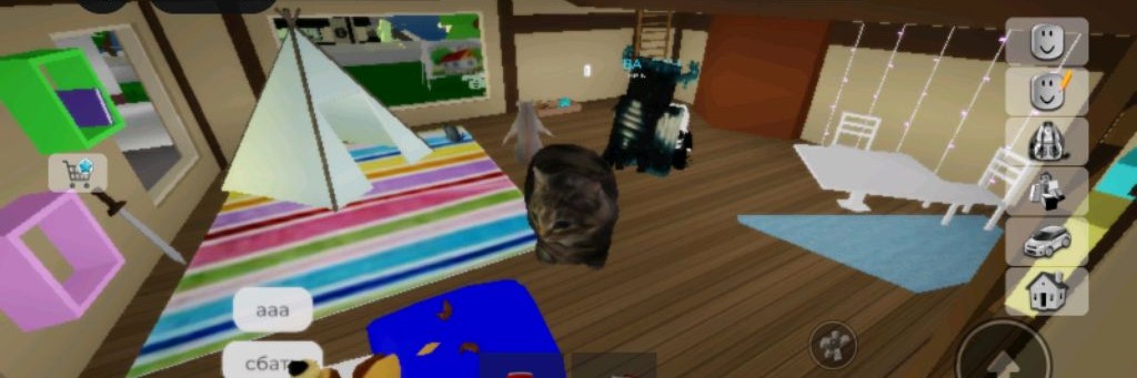 Cat_Car