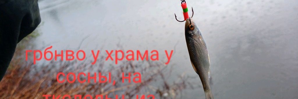 О блёснах всякоразно.Бокрюк