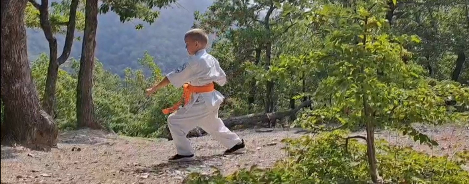 KARATE kid 48