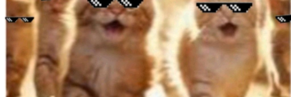 Котикарыч