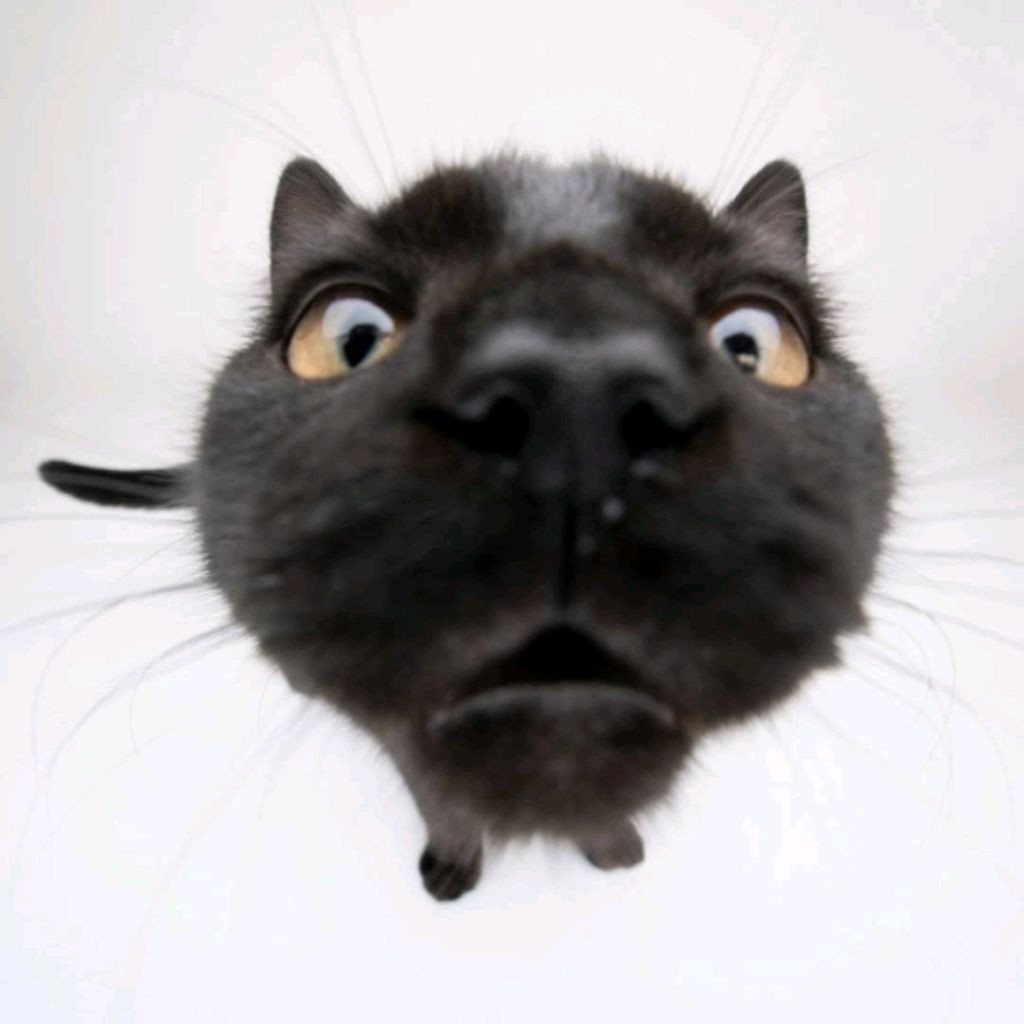 Artemka