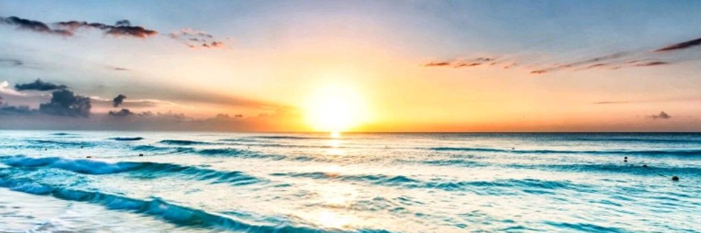 Мемкот с Денчиком