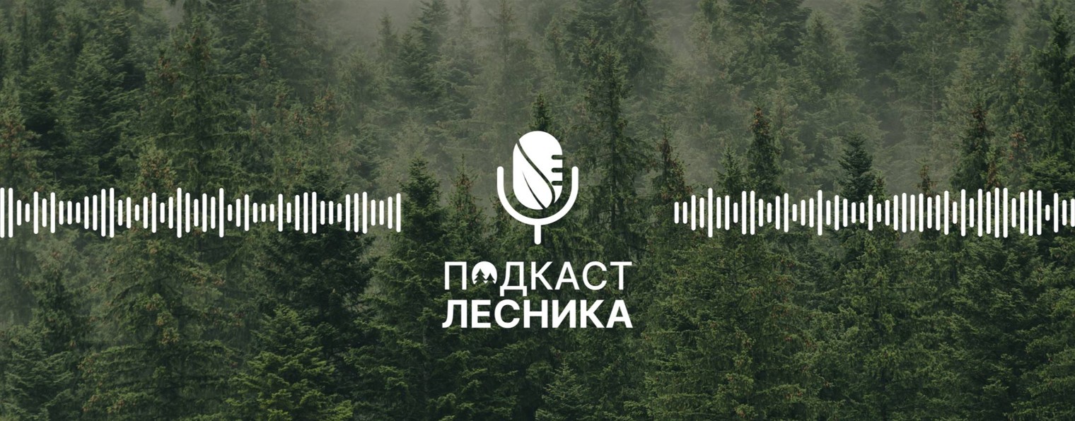 Подкаст лесника