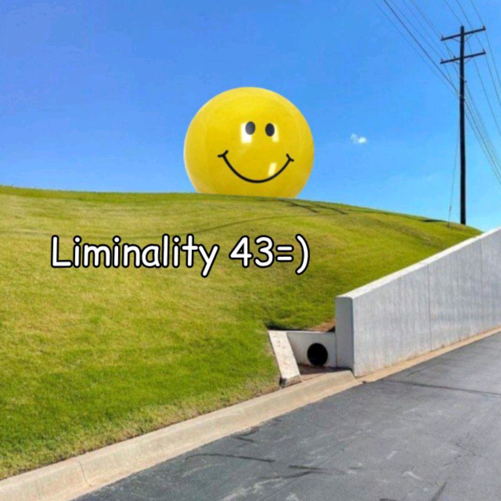 Backrooms instructions