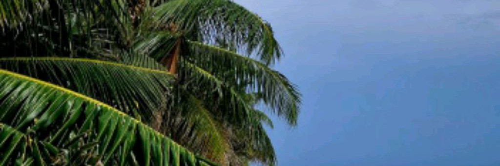 Натали Слетучая