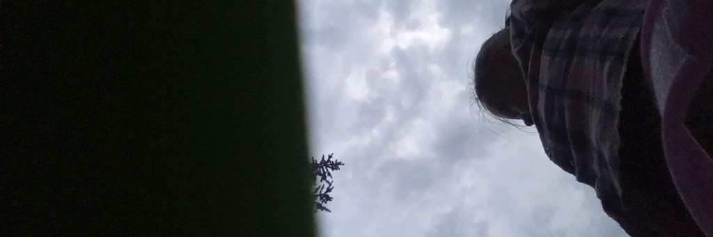 Аделька-фрикаделька