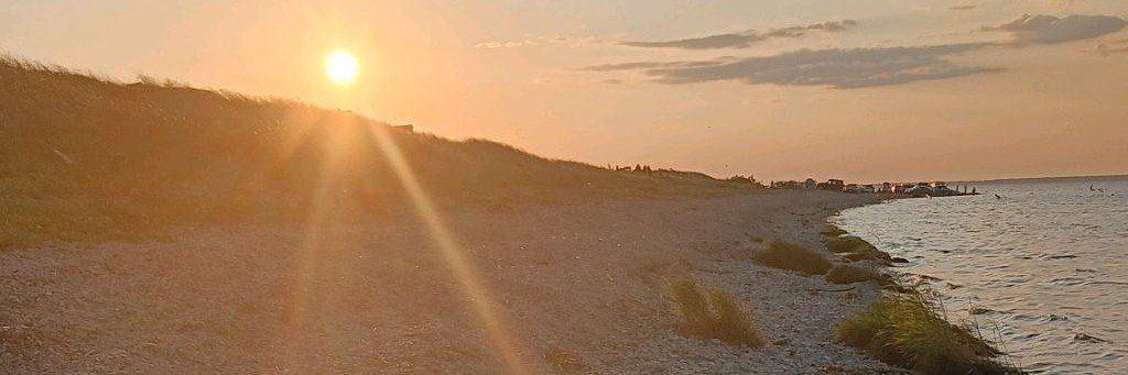 Наталья Егорова