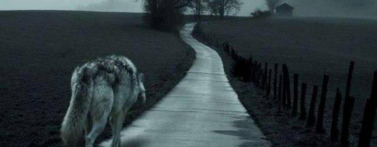 The music of my heart