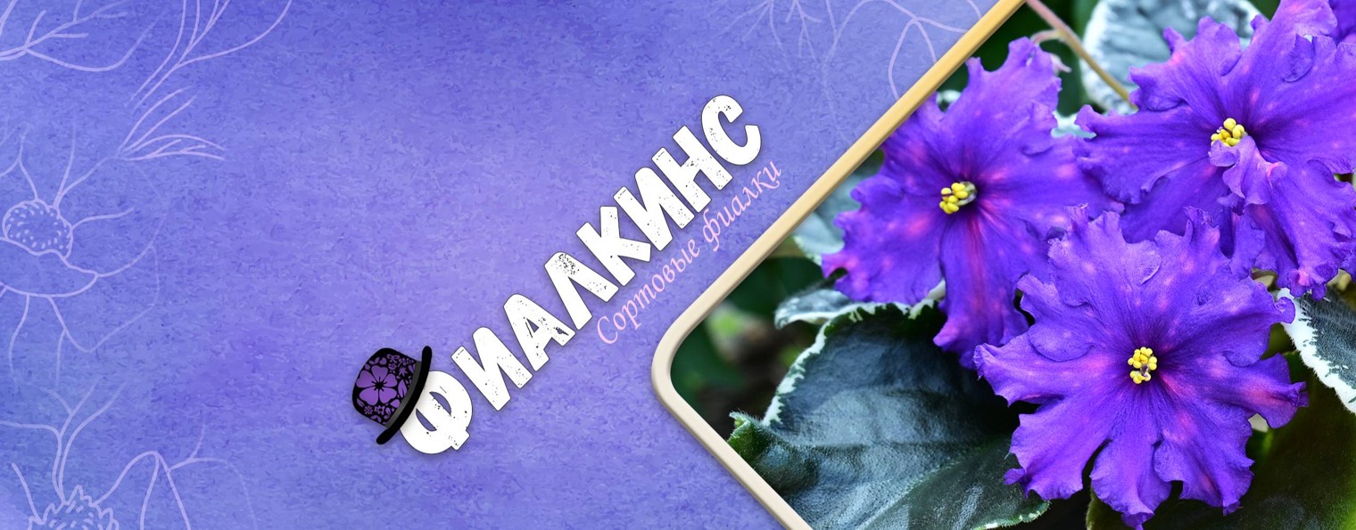 ФИАЛКИНС ✿ Сортовые фиалки