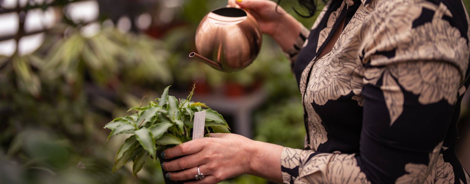 Комнатные растения с Евгенией Лисовой