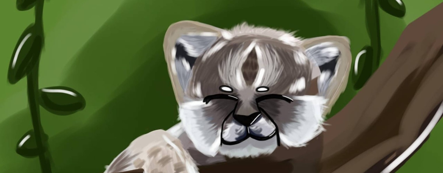 🐱крошка кошка🐱