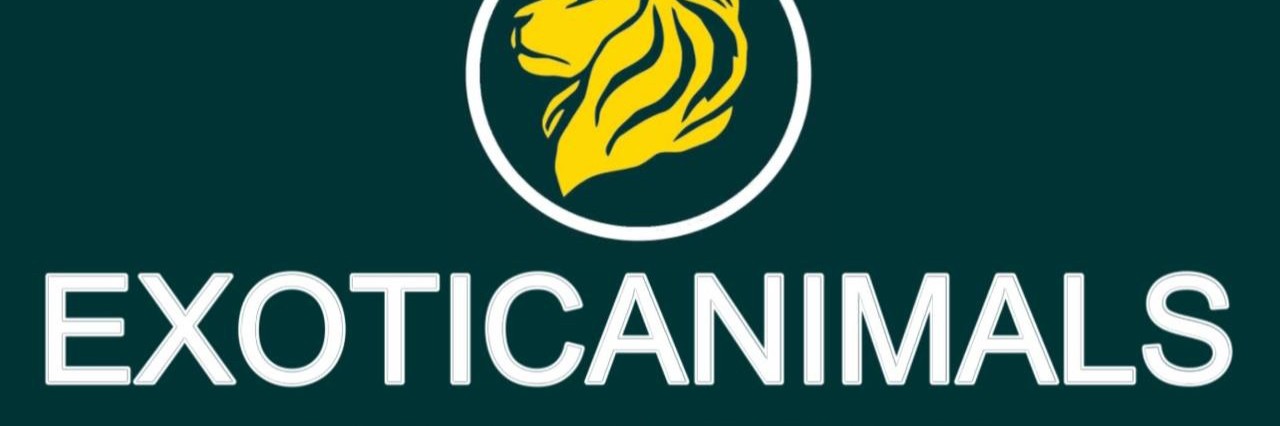 Exoticanimals