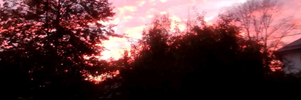 channel26288474 Kristy!