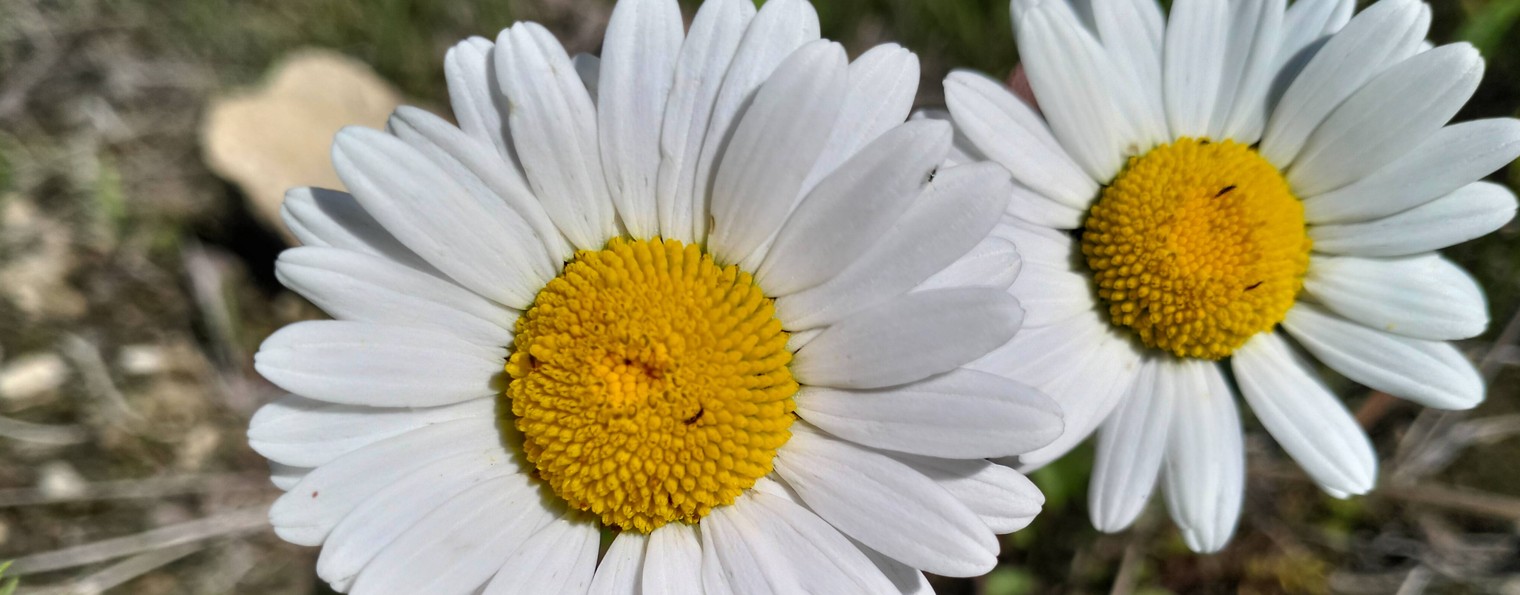 Людмила Фамхутдинова