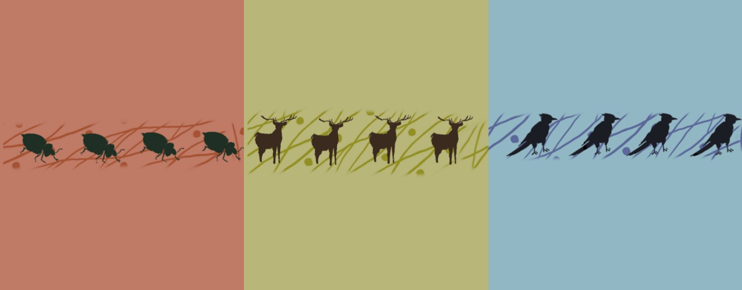 Алёна и Анюта | жизнь и книги через Генные Ключи