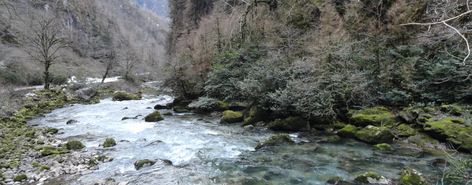 Тамбовский дачник