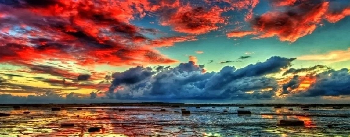 Журнал  "Ловушка для тараканов 4.2"