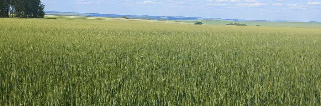 Александр Пахомов