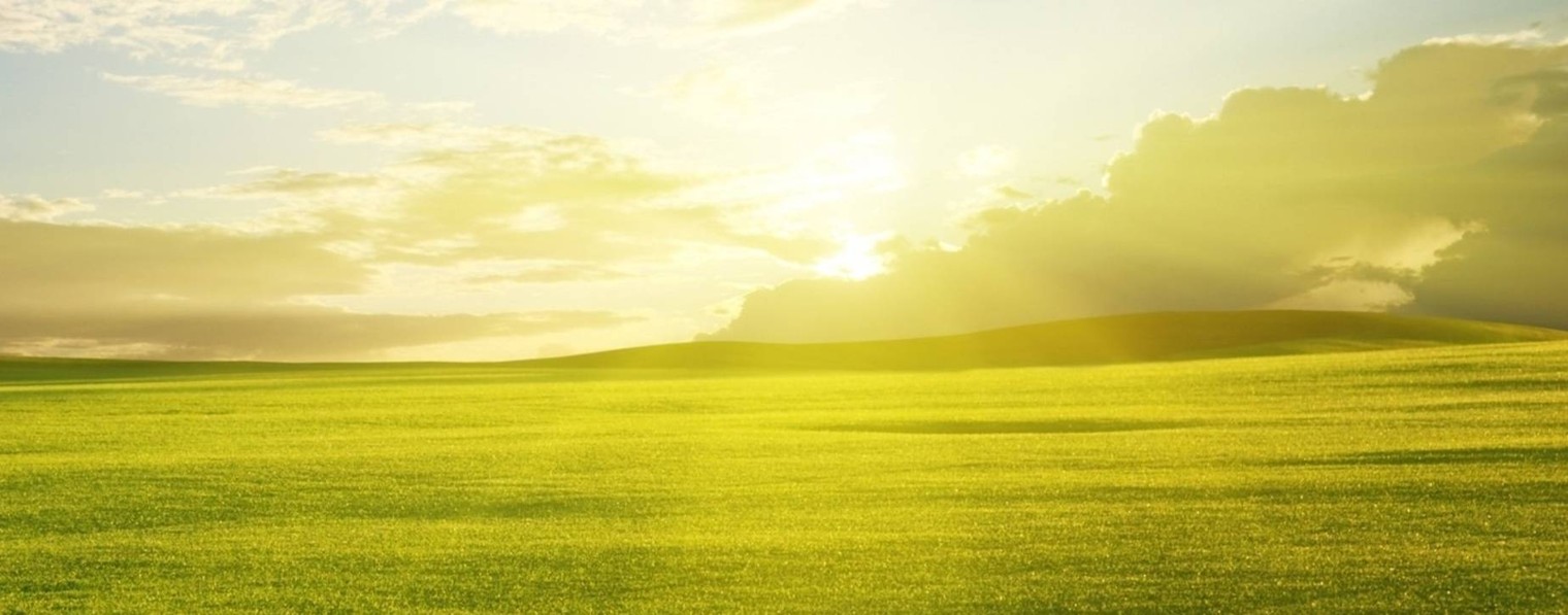 СВЕТЛАНА ЛОКА