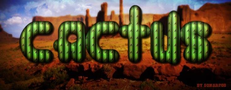 "ВЕСЁЛЫЙ КАКТУС"