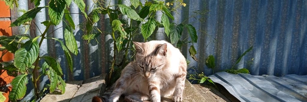 Паша Grief Хейтер Артема