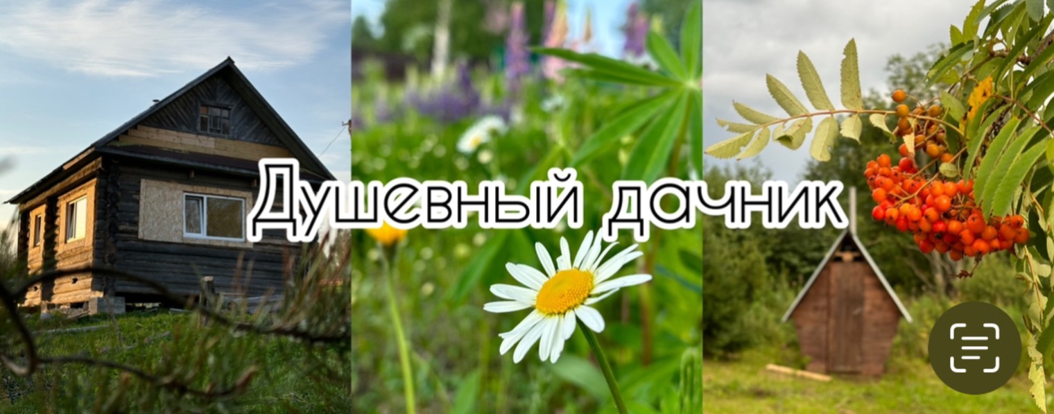 Душевный дачник