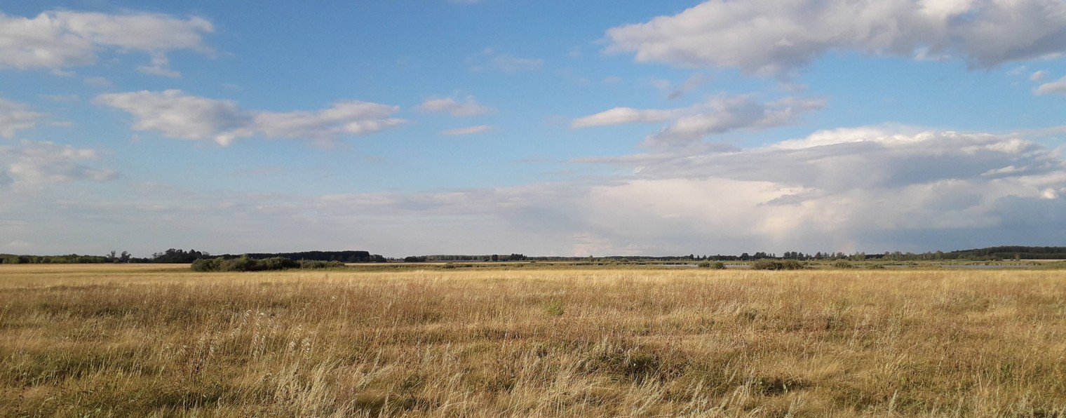 Мой сад в Зауралье