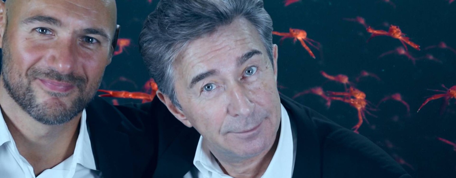 Стас Джафар