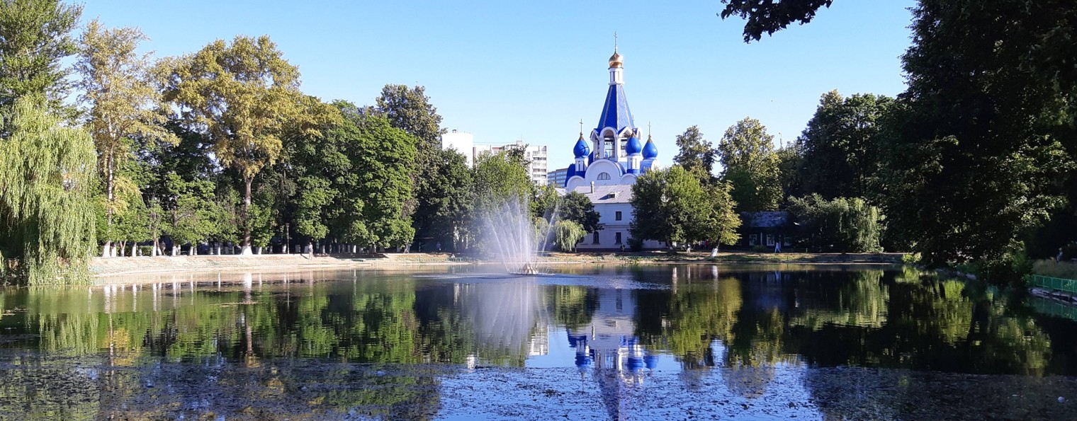 Владимир Вельский